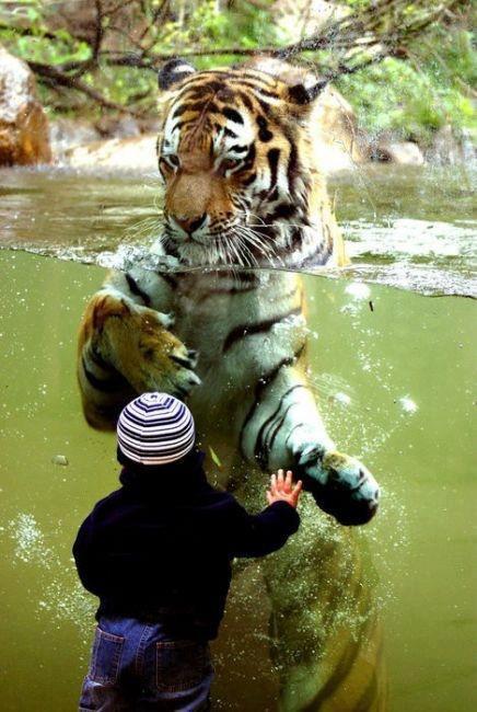 ����� �������