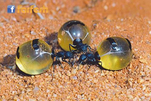 ���� ��� ����� �� ����� ���� ����� �� � ��� ���� ����� ����� ���� ����� �� ������ ����� �� ����� �� ����� ���� ���� �����