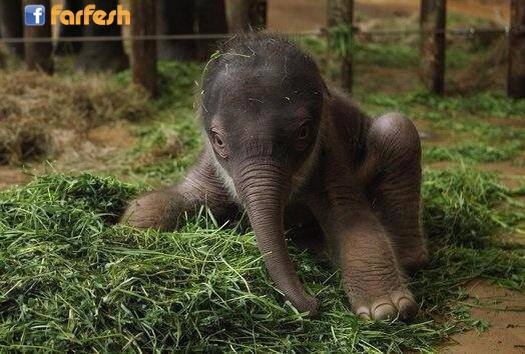 ��� ���� ����� ����