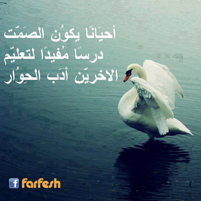 �� ����� ���� ����� ������ ���� ������� �������