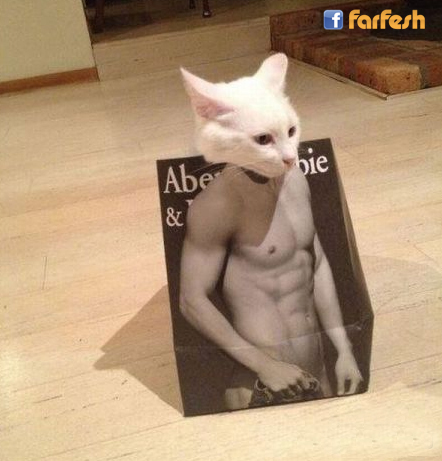 ��� ���� �����