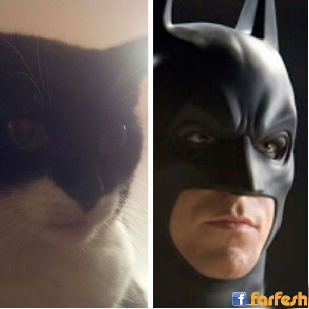 ������ !!!