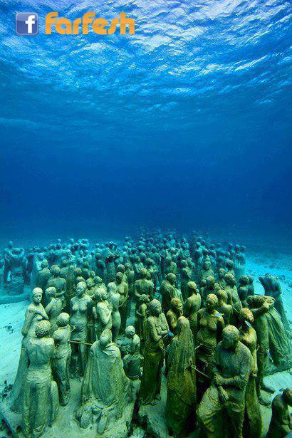 ���� ��� ����� ������ �������