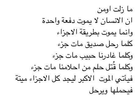 ���� ��� ���� �����