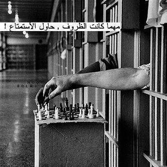 ���� ���� ������ ���� ���������