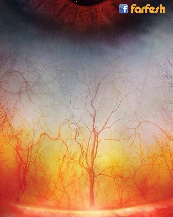 ���� ������ ����� ����� ����� ������� ���� ����� ������ ����� ����