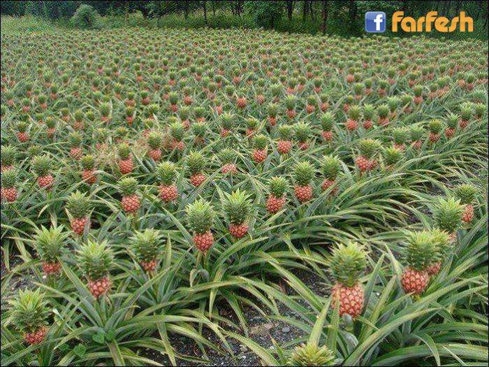 �� ���� ����� �������� �� ��� �!