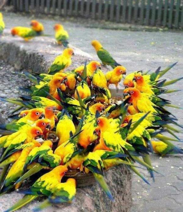 ������ ���� ����� ��� �����! .. 