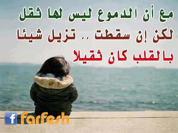 ������ ���� ������