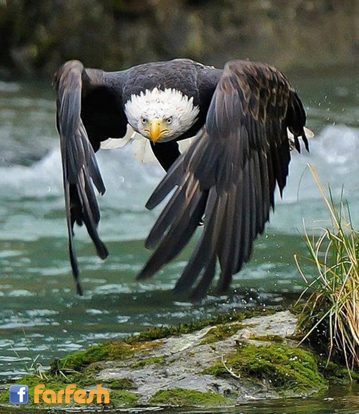 ���� ���� ��� �����