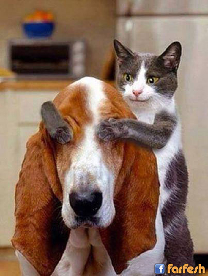 ���� ����� ��� ��� 