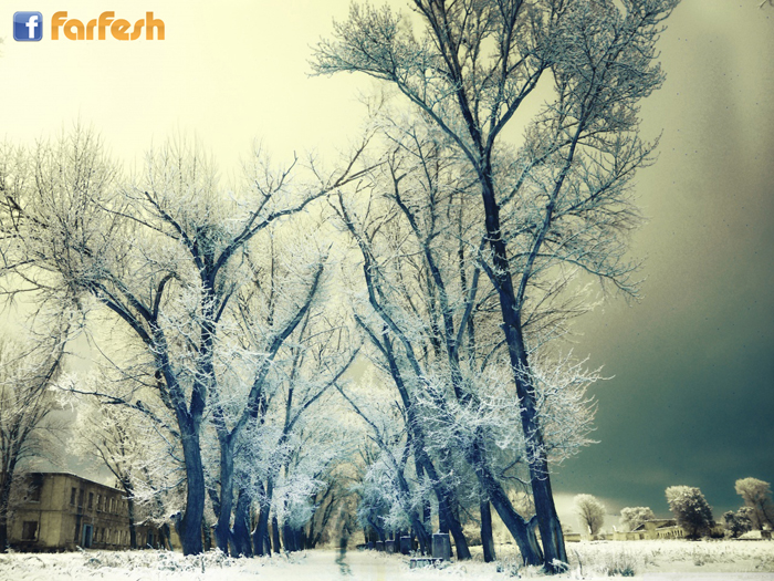 ���� ������� ������ �� ������ ��� ������