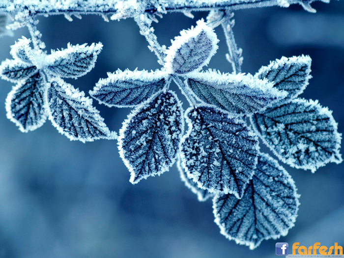 �� ���� �������������