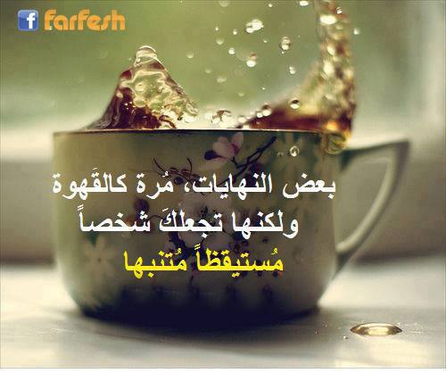 ��� �������ʡ ����  �������