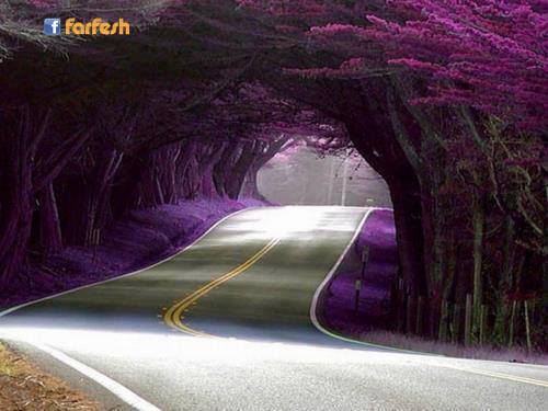 ��� ���� ������ ����� �� ��������