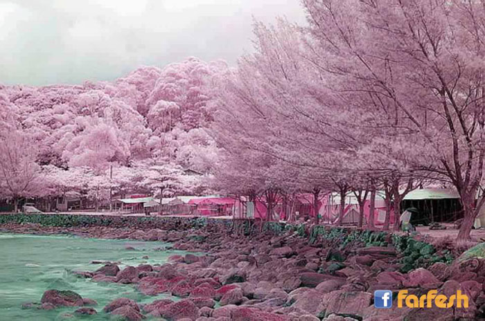 ����� ����� ������� �� �������