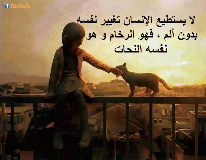 ������� �������� ������ ������� �� ����� ������