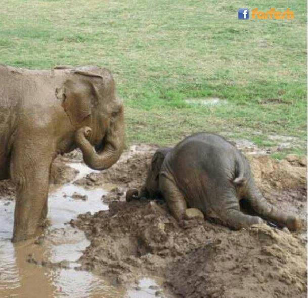 ����� ������� ������ ���� ���� 