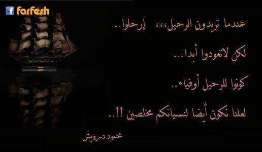 ���� ����