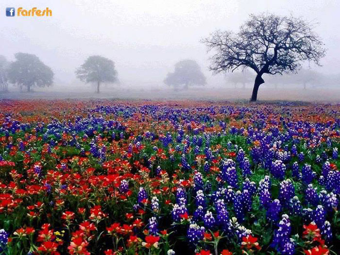 ���� ������ �� �����