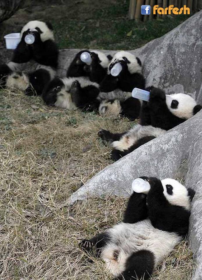 ���� ����� ����� �� ������� ������ ������ ��� ������� 