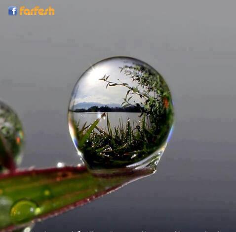 ���� ������ ���������� ���� �������.