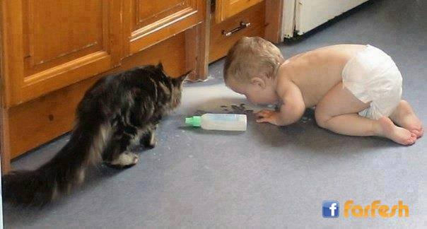 ���� �����