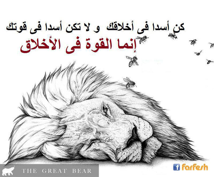 ���� ���� .. ���� ����� �� �������