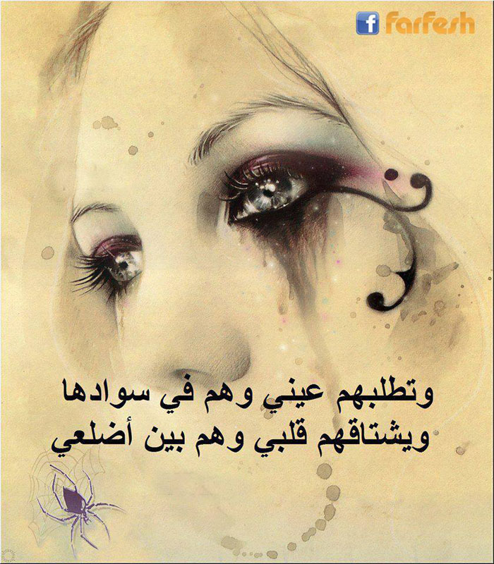 ������ ����  ������ ��� ����