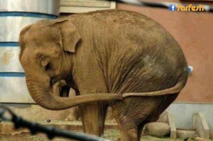 ����� ���� ����� ���� ������� ���� ��� ��� ���� �����