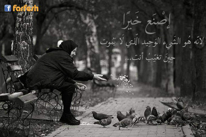 ���� ����� ������