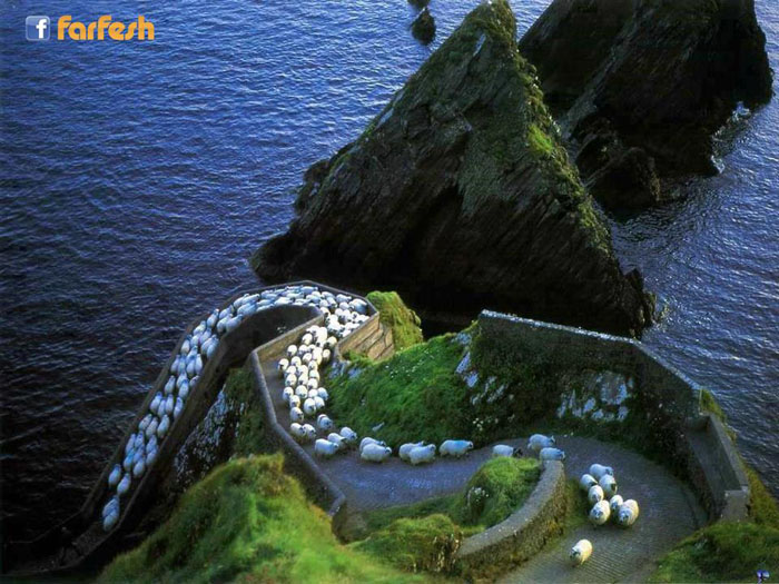 ���� ���� �� ������� ����� ������� ��������