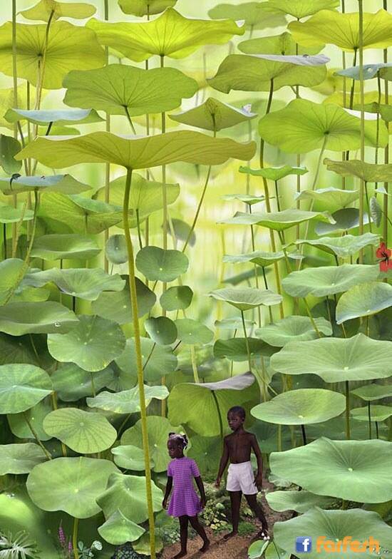 ���� ������ �������� !