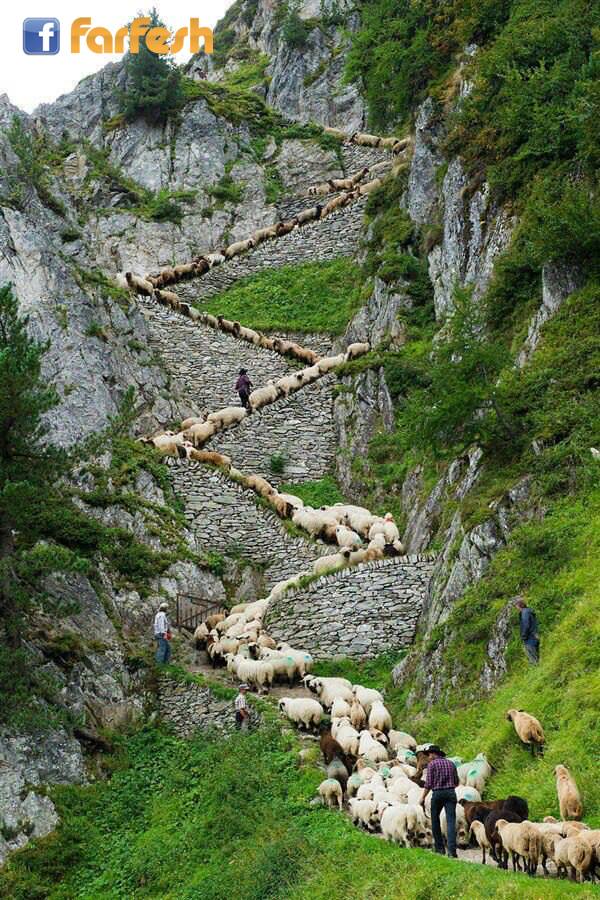 ���� ������ ������� �� ��� ��� ��� ��� ��� ���� 