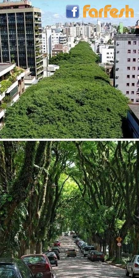 ���� ������� �� �������� ��� �� ����� ����� ������ ��������� 