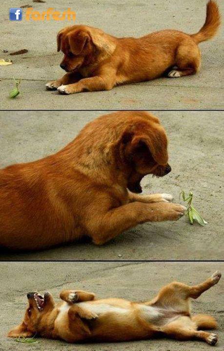 ����� ����� ��� ��� ����� ���� ����� ��� ����� �� ����� ����� ������ �����