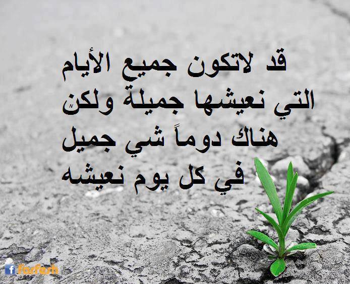 ��  �� ���� ���� ������ ���� ������ �����