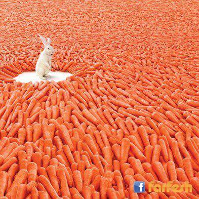 ����� ��� ��� �� ������