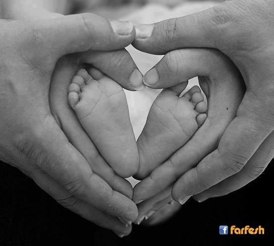 ���� ������