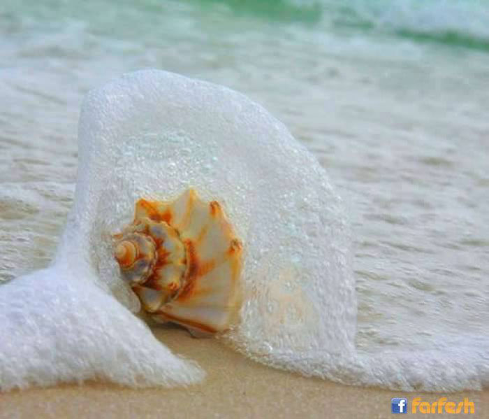 ���� �����