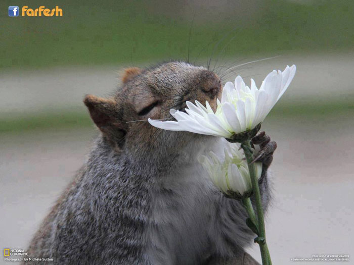 ���� ������ � ����� ���� ���� ����� ����� ����