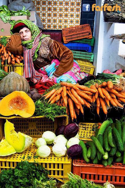 ���� ������ ���� �� ���� ,