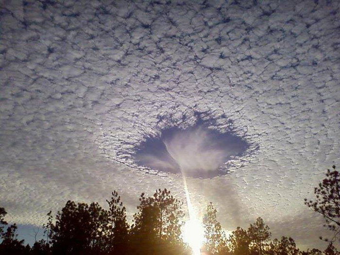 ��� ��� ����� - � ����� ���� fallstreak � ��� ����� ����� ���� �� ������� ������
