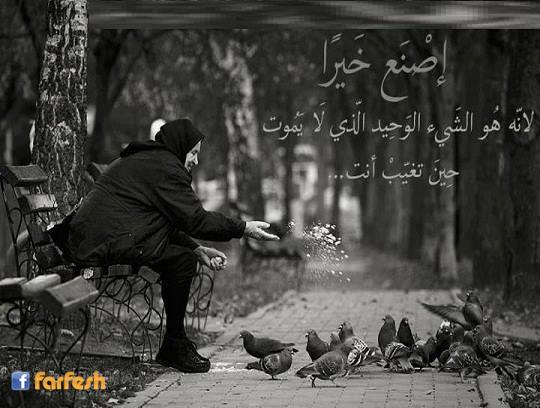 ���� ����� ���� �� ����� ������ ���� �� ���� ��� ���� ���