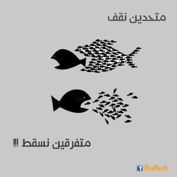 ����� ���� ������