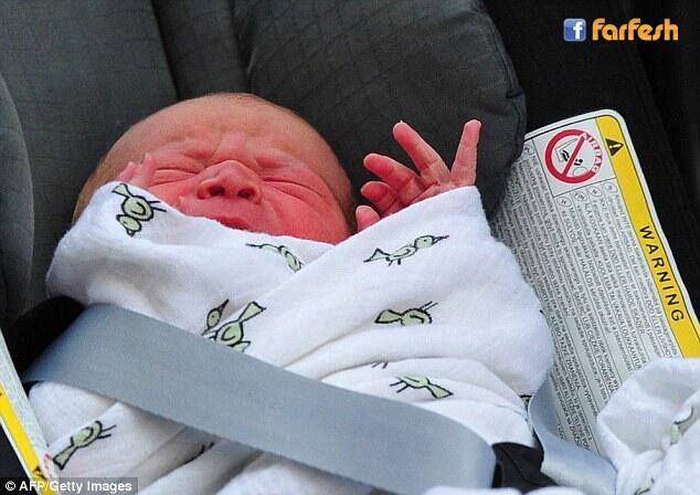 ������ ���� - ��������