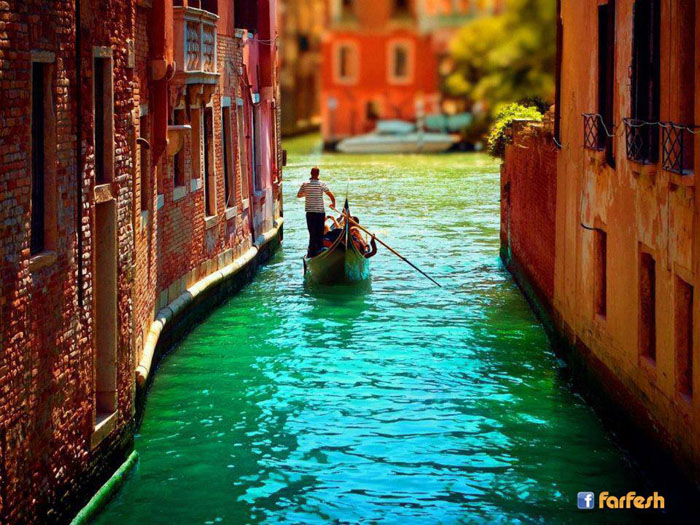 �������ɡ �������.. �� ����� ������