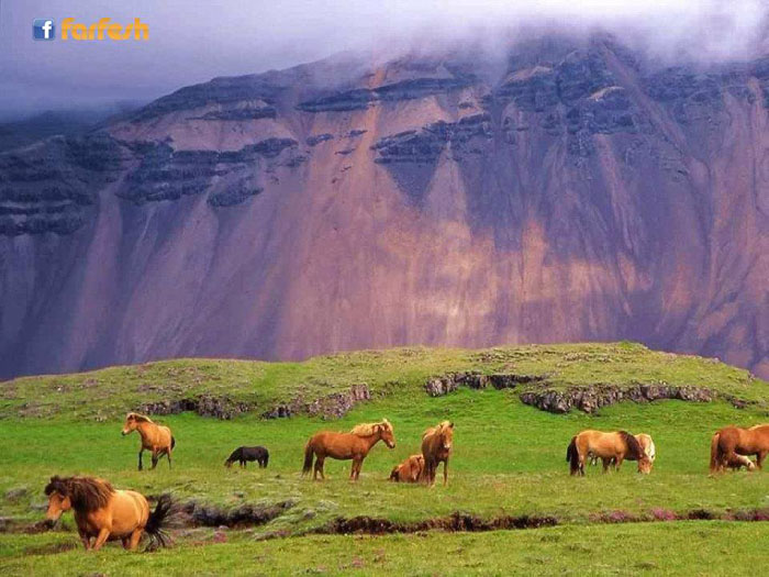 ���� ������ �� ��� ������� �� �������