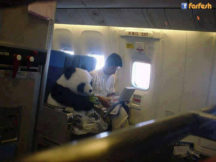 ������� ����� ����  ������ �����