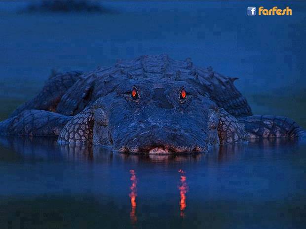 ���� ������� ���� !!!������ ��� ���� ������ !!!